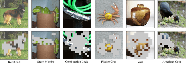 Figure 1 for Self-Calibrated Tuning of Vision-Language Models for Out-of-Distribution Detection