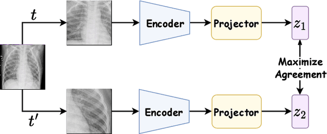 Figure 1 for Exploring Self-Supervised Representation Learning For Low-Resource Medical Image Analysis