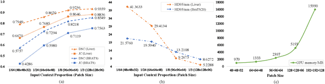Figure 1 for Super-Resolution Based Patch-Free 3D Medical Image Segmentation with Self-Supervised Guidance