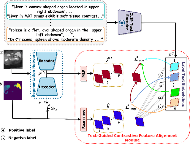 Figure 1 for Language Guided Domain Generalized Medical Image Segmentation