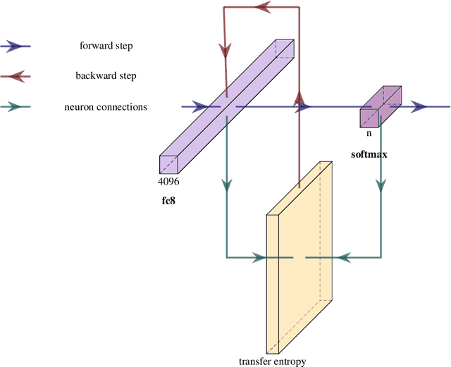 Figure 1 for Learning in Convolutional Neural Networks Accelerated by Transfer Entropy