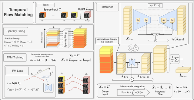 Figure 3 for Temporal Flow Matching for Learning Spatio-Temporal Trajectories in 4D Longitudinal Medical Imaging