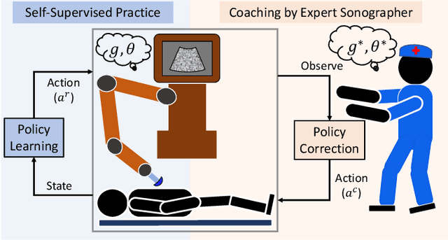 Figure 1 for Coaching a Robotic Sonographer: Learning Robotic Ultrasound with Sparse Expert's Feedback