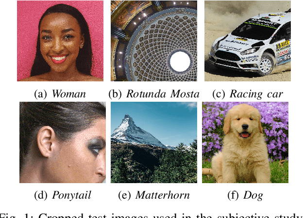Figure 1 for Perceptual impact of the loss function on deep-learning image coding performance