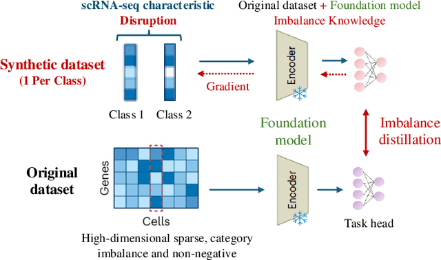 Figure 1 for scDD: Latent Codes Based scRNA-seq Dataset Distillation with Foundation Model Knowledge