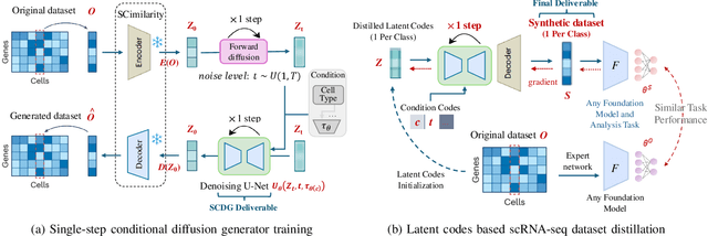 Figure 2 for scDD: Latent Codes Based scRNA-seq Dataset Distillation with Foundation Model Knowledge