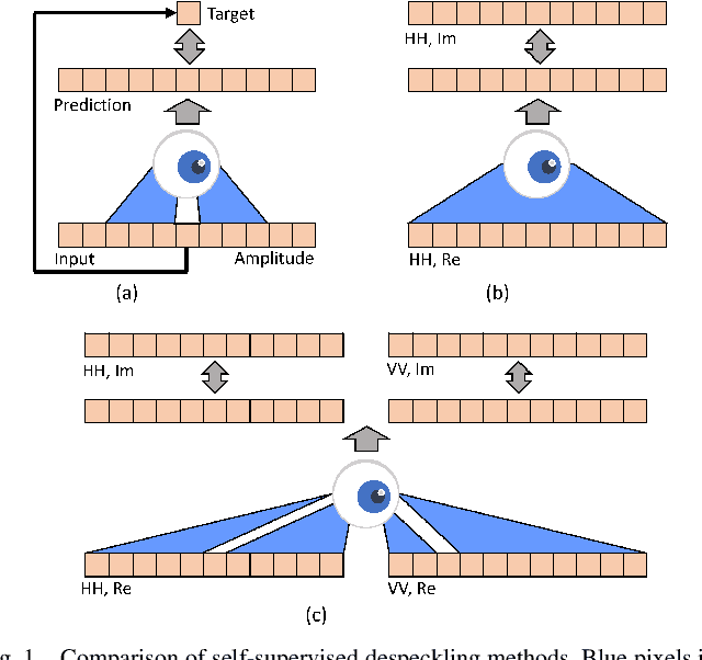 Figure 1 for PolMERLIN: Self-Supervised Polarimetric Complex SAR Image Despeckling with Masked Networks