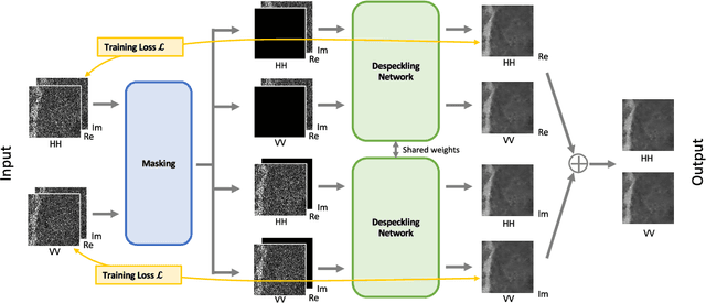 Figure 2 for PolMERLIN: Self-Supervised Polarimetric Complex SAR Image Despeckling with Masked Networks