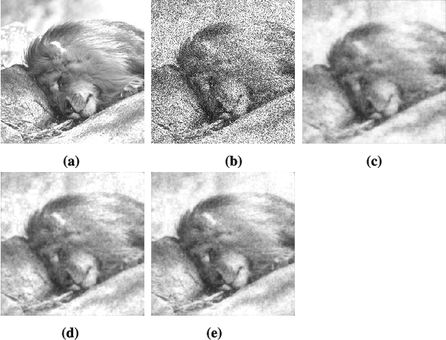 Figure 3 for PolMERLIN: Self-Supervised Polarimetric Complex SAR Image Despeckling with Masked Networks