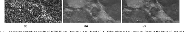 Figure 4 for PolMERLIN: Self-Supervised Polarimetric Complex SAR Image Despeckling with Masked Networks