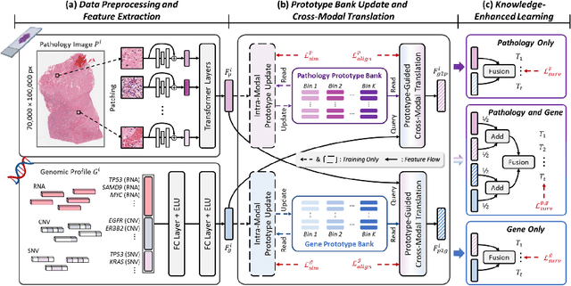 Figure 1 for Prototype-Guided Cross-Modal Knowledge Enhancement for Adaptive Survival Prediction