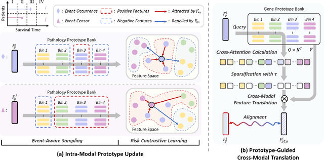 Figure 3 for Prototype-Guided Cross-Modal Knowledge Enhancement for Adaptive Survival Prediction