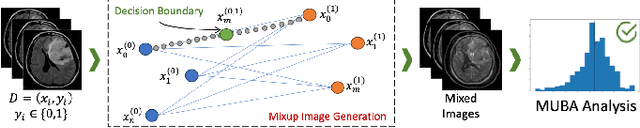 Figure 1 for MedISure: Towards Assuring Machine Learning-based Medical Image Classifiers using Mixup Boundary Analysis