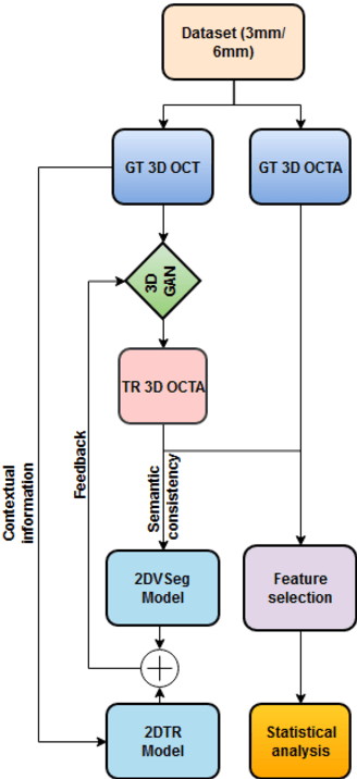 Figure 1 for Quantitative Characterization of Retinal Features in Translated OCTA