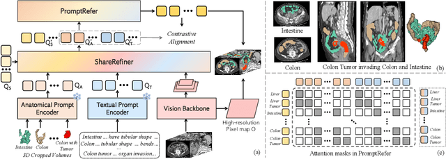 Figure 3 for CAT: Coordinating Anatomical-Textual Prompts for Multi-Organ and Tumor Segmentation