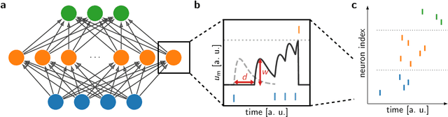 Figure 1 for DelGrad: Exact gradients in spiking networks for learning transmission delays and weights