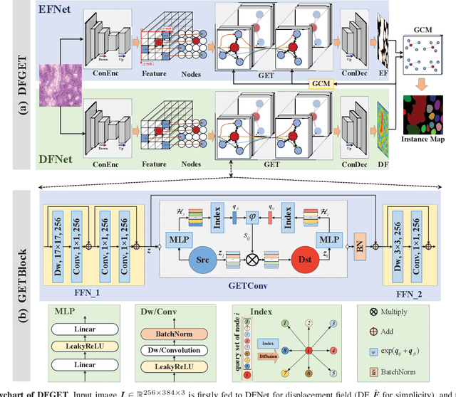 Figure 1 for DFGET: Displacement-Field Assisted Graph Energy Transmitter for Gland Instance Segmentation