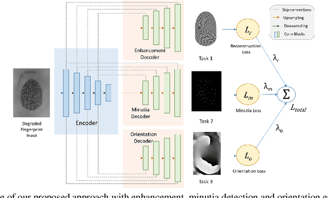 Figure 1 for Finger-UNet: A U-Net based Multi-Task Architecture for Deep Fingerprint Enhancement