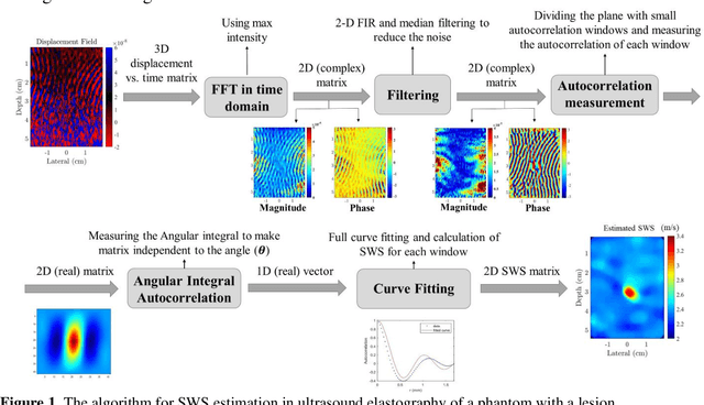Figure 1 for Angular Integral Autocorrelation for Speed Estimation in Shear Wave Elastography