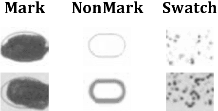 Figure 1 for Busting the Paper Ballot: Voting Meets Adversarial Machine Learning