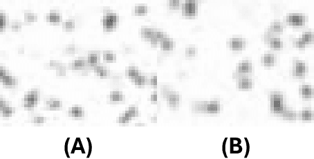 Figure 4 for Busting the Paper Ballot: Voting Meets Adversarial Machine Learning