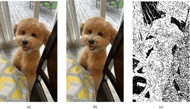 Figure 1 for HDR Imaging With One-Bit Quantization