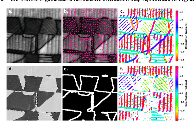 Figure 3 for Exploring Domain Wall Pinning in Ferroelectrics via Automated High Throughput AFM