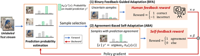 Figure 4 for Test-Time Adaptation with Binary Feedback