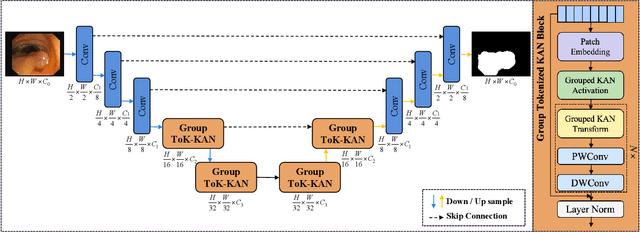 Figure 3 for GroupKAN: Rethinking Nonlinearity with Grouped Spline-based KAN Modeling for Efficient Medical Image Segmentation