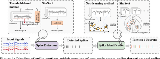 Figure 1 for SimSort: A Powerful Framework for Spike Sorting by Large-Scale Electrophysiology Simulation