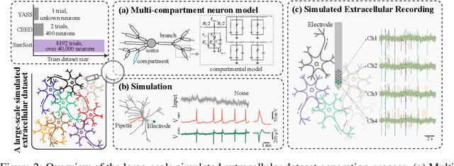 Figure 3 for SimSort: A Powerful Framework for Spike Sorting by Large-Scale Electrophysiology Simulation