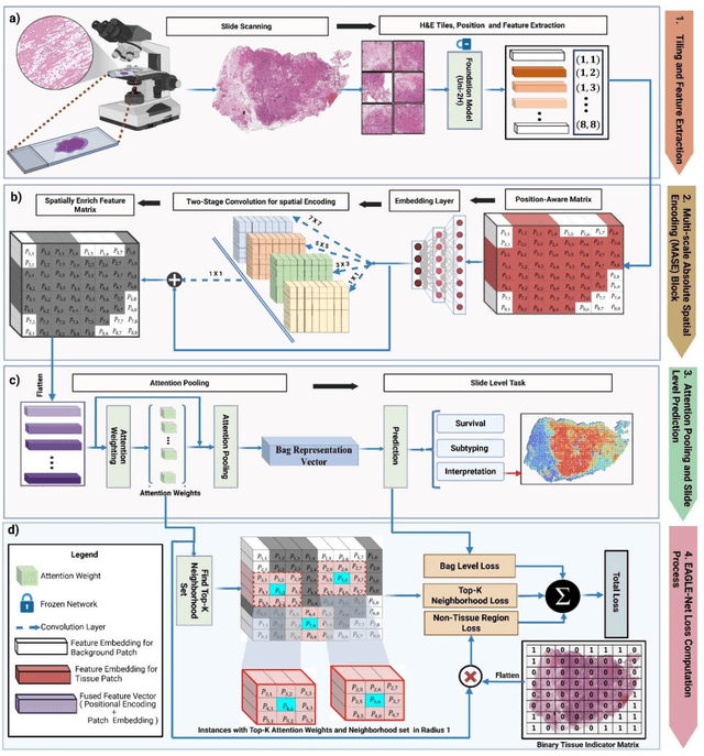 Figure 1 for The Next Layer: Augmenting Foundation Models with Structure-Preserving and Attention-Guided Learning for Local Patches to Global Context Awareness in Computational Pathology