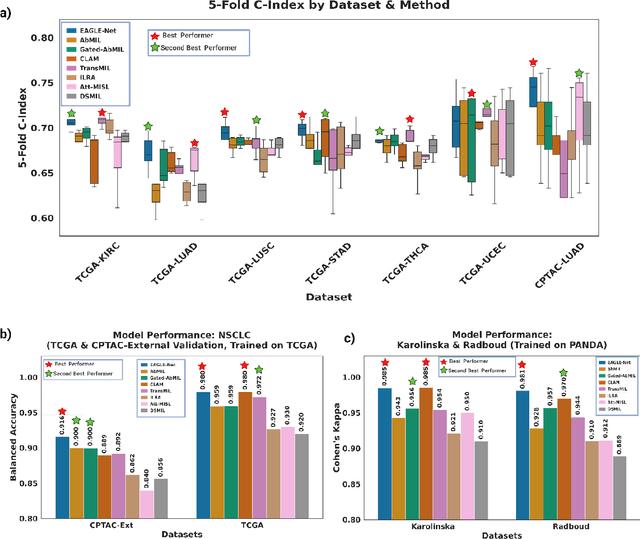 Figure 2 for The Next Layer: Augmenting Foundation Models with Structure-Preserving and Attention-Guided Learning for Local Patches to Global Context Awareness in Computational Pathology