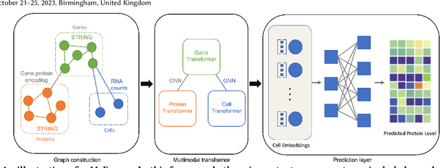Figure 1 for Single-Cell Multimodal Prediction via Transformers