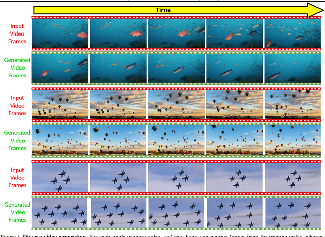 Figure 1 for SinFusion: Training Diffusion Models on a Single Image or Video