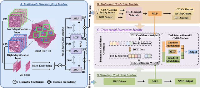Figure 1 for Joint Modelling Histology and Molecular Markers for Cancer Classification