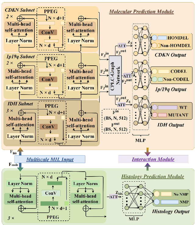 Figure 3 for Joint Modelling Histology and Molecular Markers for Cancer Classification