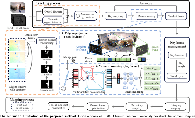 Figure 1 for RoDyn-SLAM: Robust Dynamic Dense RGB-D SLAM with Neural Radiance Fields