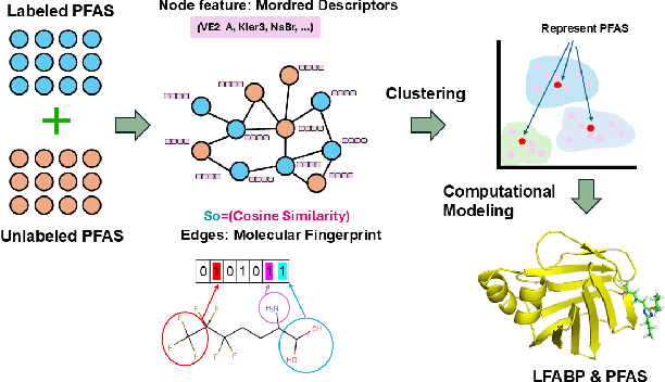 Figure 1 for Uncovering the Mechanism of Hepatotoxiciy of PFAS Targeting L-FABP Using GCN and Computational Modeling