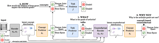 Figure 3 for Climbing the Ladder of Interpretability with Counterfactual Concept Bottleneck Models