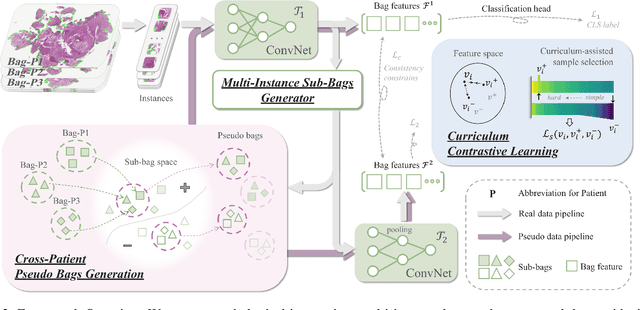 Figure 3 for Cross-Patient Pseudo Bags Generation and Curriculum Contrastive Learning for Imbalanced Multiclassification of Whole Slide Image