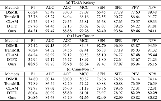 Figure 2 for Cross-Patient Pseudo Bags Generation and Curriculum Contrastive Learning for Imbalanced Multiclassification of Whole Slide Image