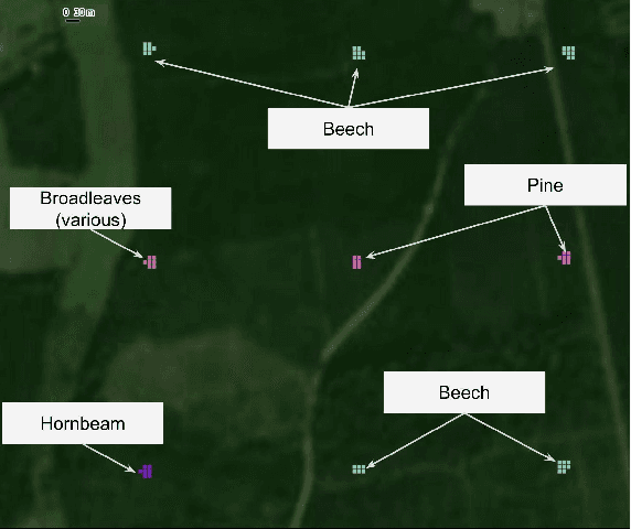 Figure 2 for Tree species classification at the pixel-level using deep learning and multispectral time series in an imbalanced context