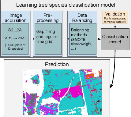Figure 3 for Tree species classification at the pixel-level using deep learning and multispectral time series in an imbalanced context