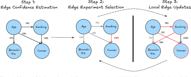 Figure 1 for IGDA: Interactive Graph Discovery through Large Language Model Agents