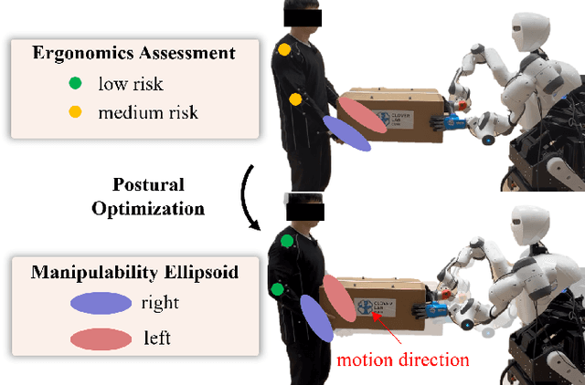 Figure 1 for Integrating Ergonomics and Manipulability for Upper Limb Postural Optimization in Bimanual Human-Robot Collaboration