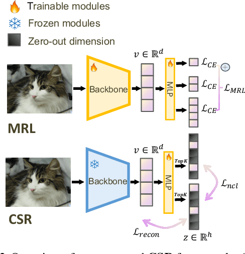 Figure 2 for Beyond Matryoshka: Revisiting Sparse Coding for Adaptive Representation