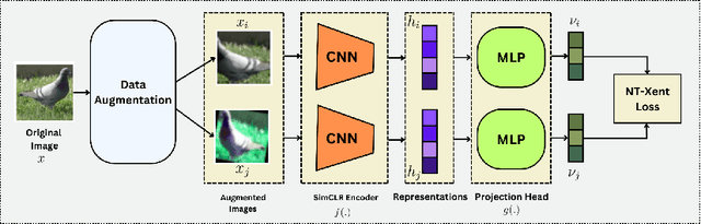 Figure 1 for Private, Augmentation-Robust and Task-Agnostic Data Valuation Approach for Data Marketplace