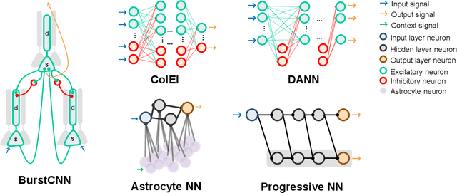 Figure 3 for Enhancing learning in artificial neural networks through cellular heterogeneity and neuromodulatory signaling