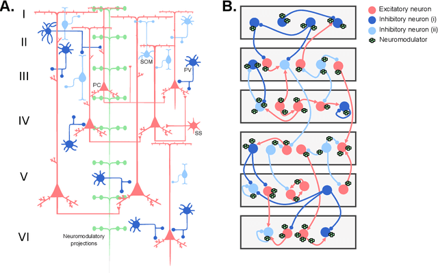 Figure 4 for Enhancing learning in artificial neural networks through cellular heterogeneity and neuromodulatory signaling
